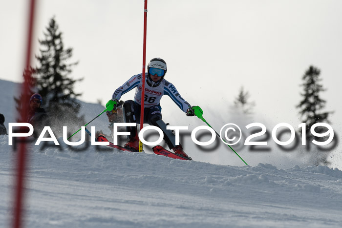 FIS Slalom + NJC Damen + FIS Herren 27.01.2019