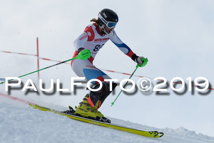 FIS Slalom + NJC Damen + FIS Herren 27.01.2019