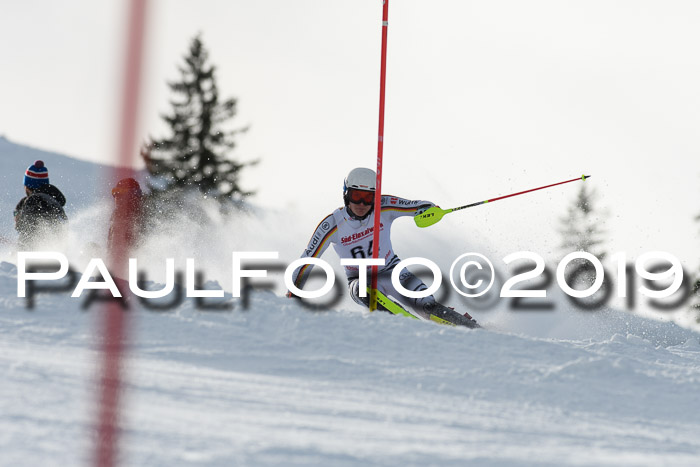 FIS Slalom + NJC Damen + FIS Herren 27.01.2019