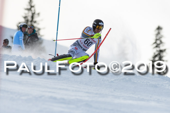 FIS Slalom + NJC Damen + FIS Herren 27.01.2019