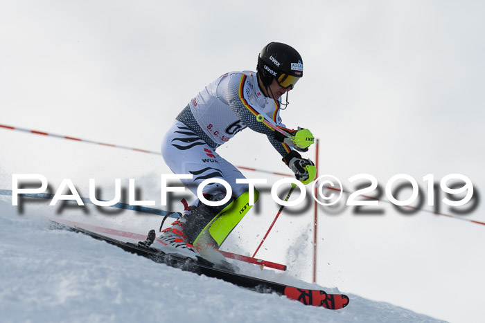 FIS Slalom + NJC Damen + FIS Herren 27.01.2019