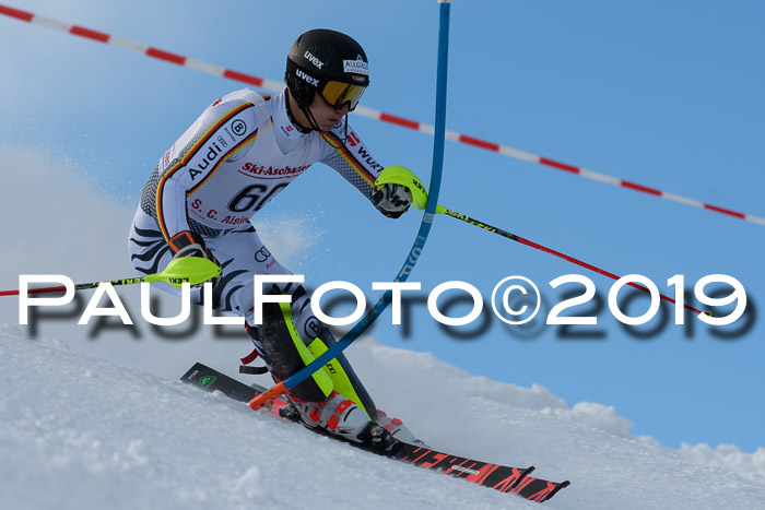 FIS Slalom + NJC Damen + FIS Herren 27.01.2019