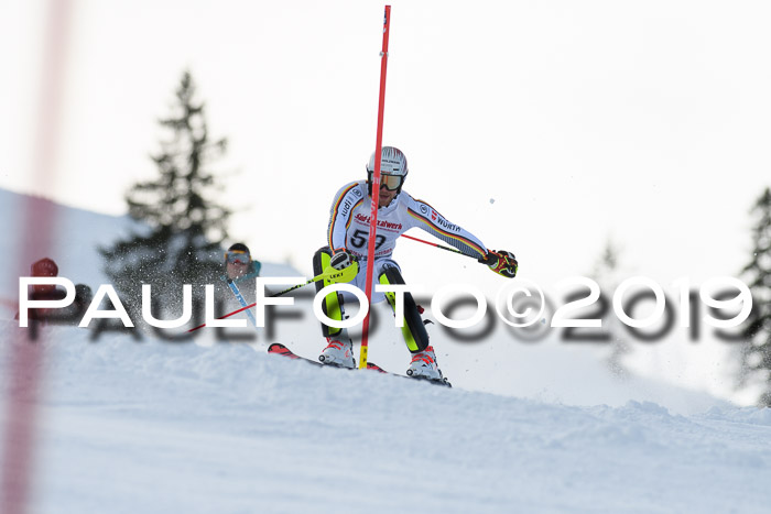 FIS Slalom + NJC Damen + FIS Herren 27.01.2019