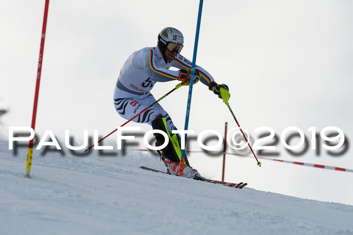 FIS Slalom + NJC Damen + FIS Herren 27.01.2019