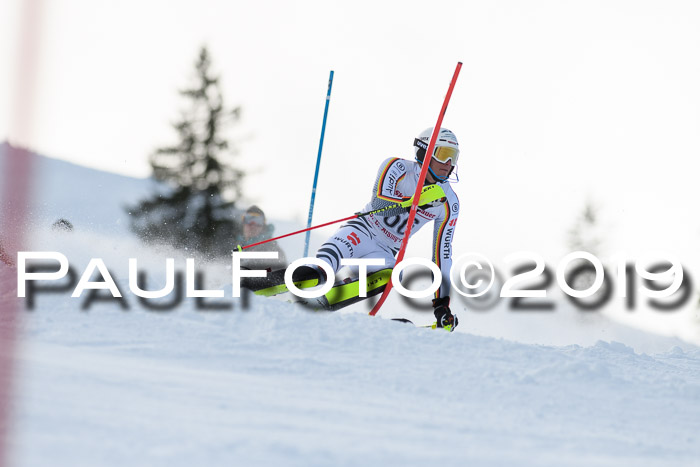 FIS Slalom + NJC Damen + FIS Herren 27.01.2019