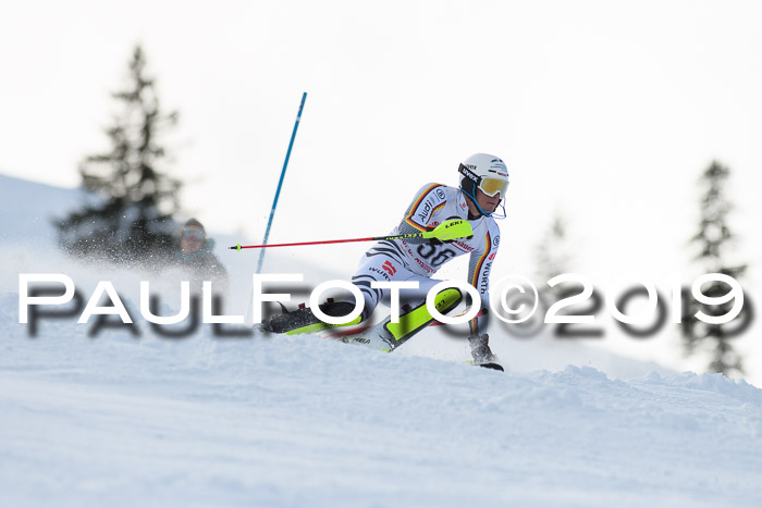 FIS Slalom + NJC Damen + FIS Herren 27.01.2019