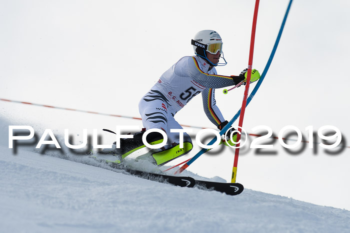 FIS Slalom + NJC Damen + FIS Herren 27.01.2019