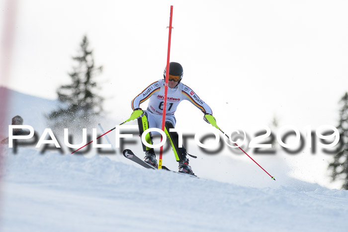 FIS Slalom + NJC Damen + FIS Herren 27.01.2019