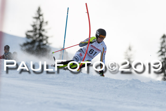 FIS Slalom + NJC Damen + FIS Herren 27.01.2019