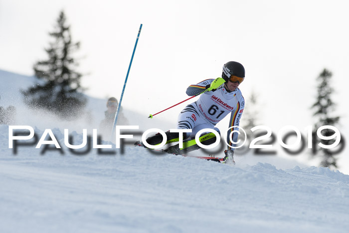 FIS Slalom + NJC Damen + FIS Herren 27.01.2019