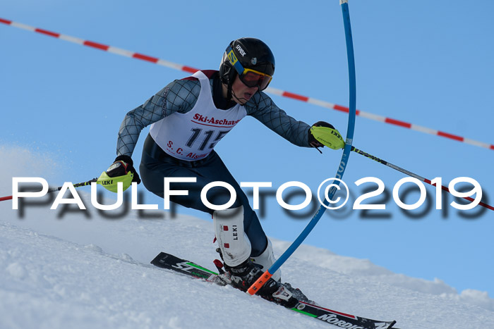 FIS Slalom + NJC Damen + FIS Herren 27.01.2019