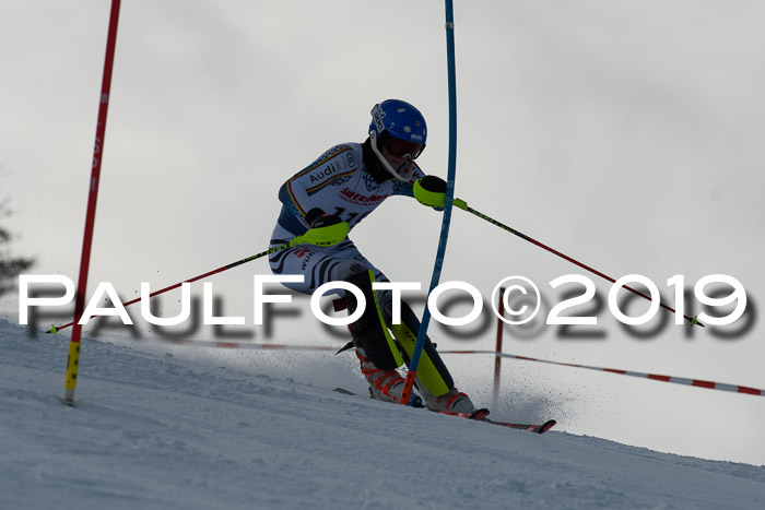 FIS Slalom + NJC Damen + FIS Herren 27.01.2019