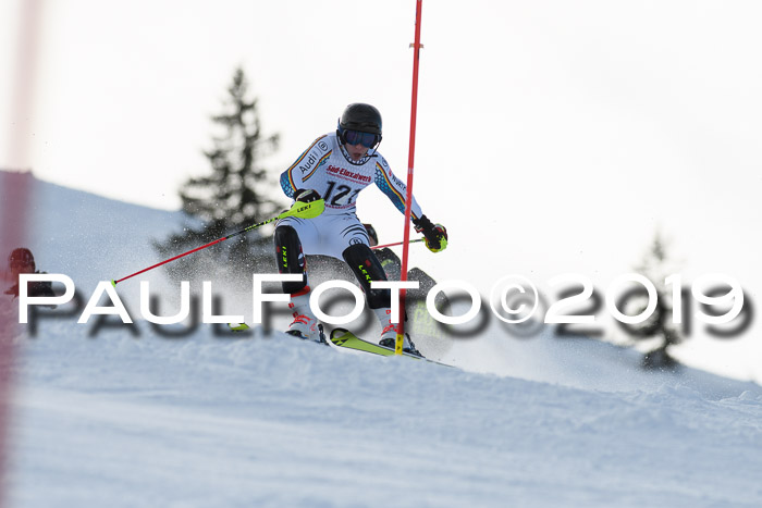 FIS Slalom + NJC Damen + FIS Herren 27.01.2019