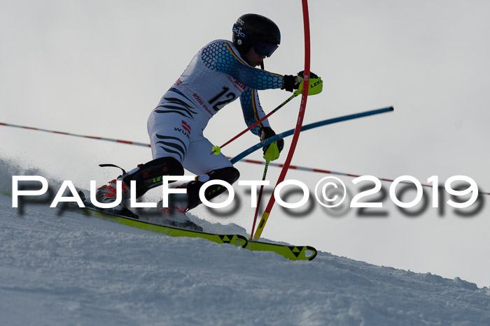 FIS Slalom + NJC Damen + FIS Herren 27.01.2019