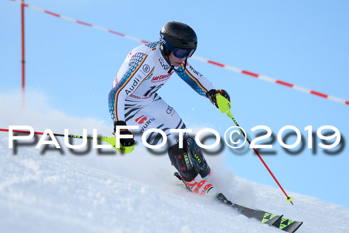 FIS Slalom + NJC Damen + FIS Herren 27.01.2019