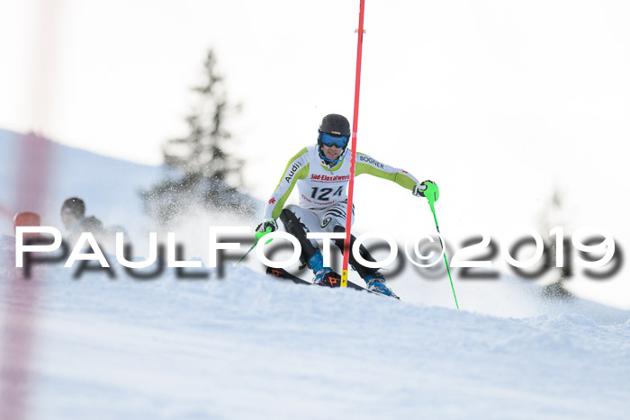 FIS Slalom + NJC Damen + FIS Herren 27.01.2019