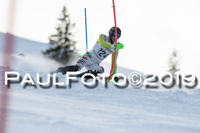 FIS Slalom + NJC Damen + FIS Herren 27.01.2019