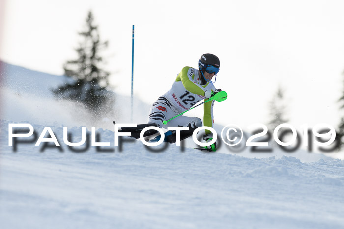 FIS Slalom + NJC Damen + FIS Herren 27.01.2019