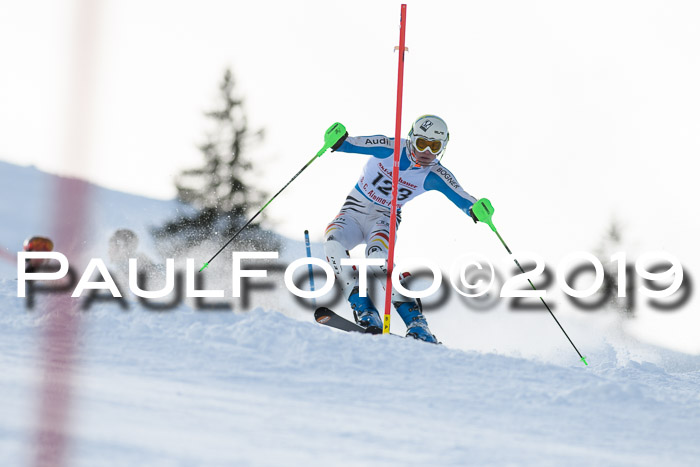 FIS Slalom + NJC Damen + FIS Herren 27.01.2019