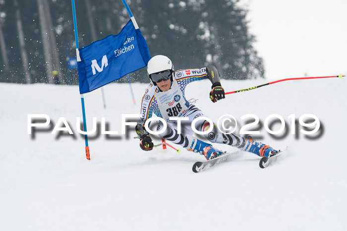 Münchner Skimeisterschaft 02.02.2019