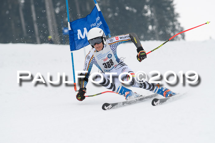 Münchner Skimeisterschaft 02.02.2019