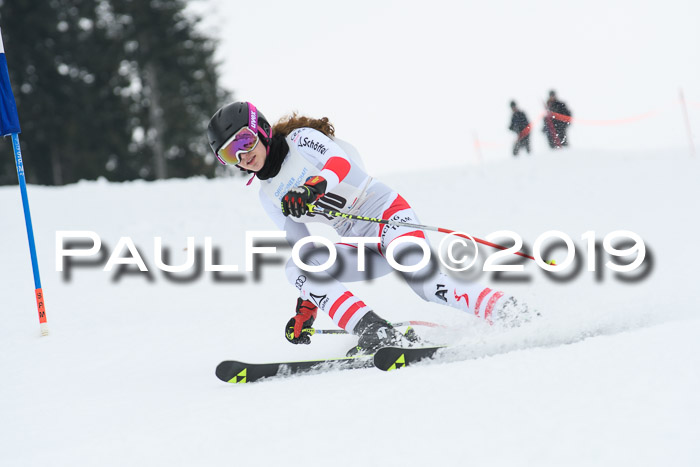 Münchner Skimeisterschaft 02.02.2019