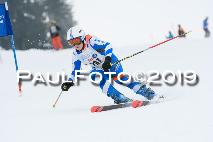 Münchner Skimeisterschaft 02.02.2019