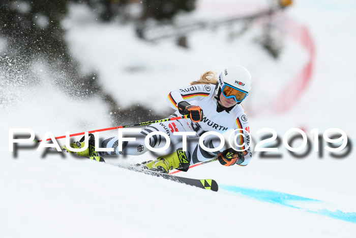 FIS + NJC Riesenslalom Damen + Herren 02.02.2019