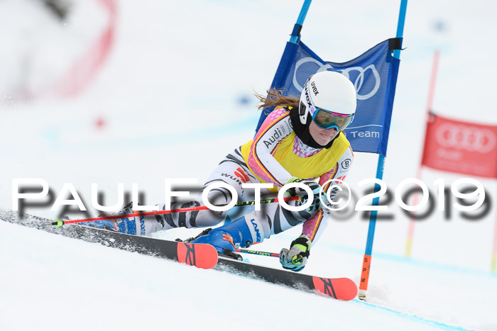 FIS + NJC Riesenslalom Damen + Herren 02.02.2019