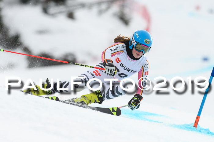 FIS + NJC Riesenslalom Damen + Herren 02.02.2019