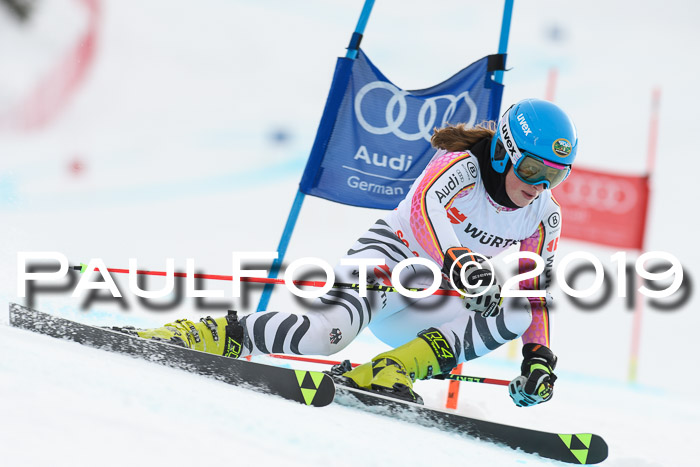 FIS + NJC Riesenslalom Damen + Herren 02.02.2019