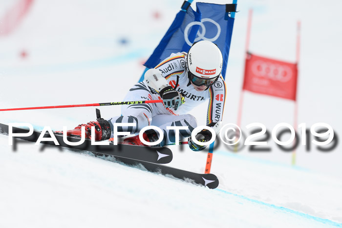 FIS + NJC Riesenslalom Damen + Herren 02.02.2019