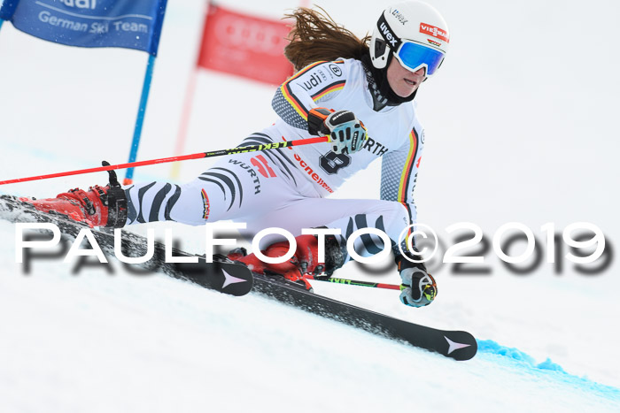 FIS + NJC Riesenslalom Damen + Herren 02.02.2019