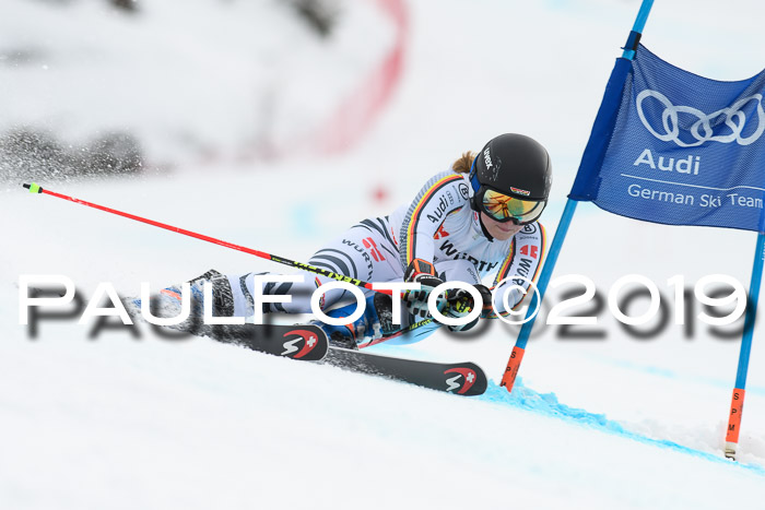 FIS + NJC Riesenslalom Damen + Herren 02.02.2019