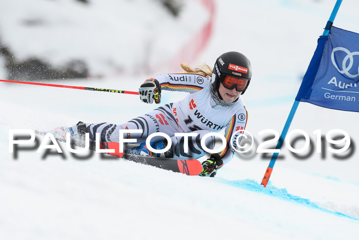 FIS + NJC Riesenslalom Damen + Herren 02.02.2019