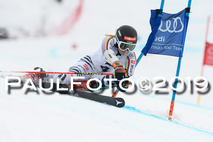 FIS + NJC Riesenslalom Damen + Herren 02.02.2019