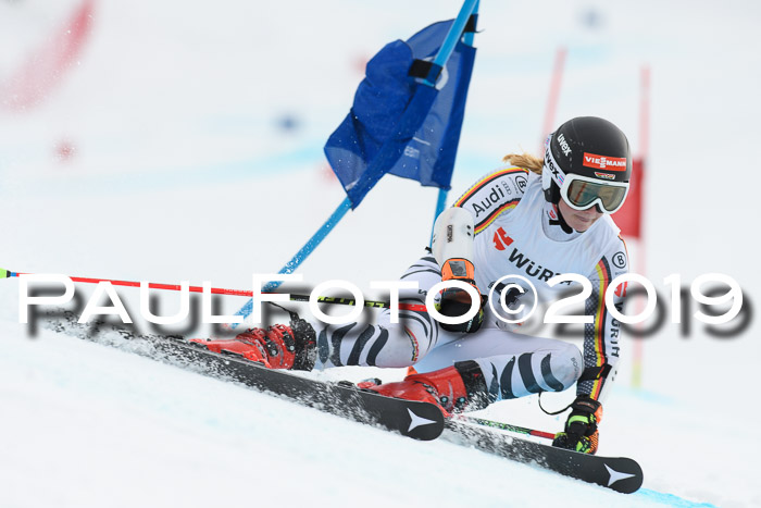 FIS + NJC Riesenslalom Damen + Herren 02.02.2019