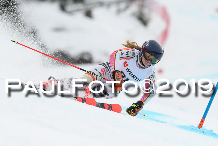 FIS + NJC Riesenslalom Damen + Herren 02.02.2019