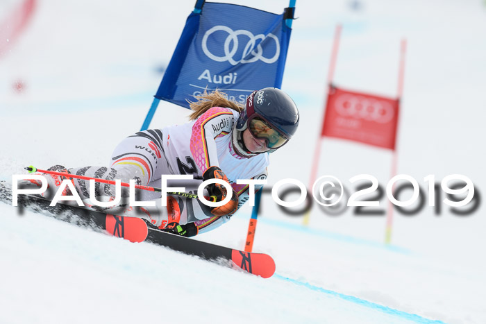 FIS + NJC Riesenslalom Damen + Herren 02.02.2019