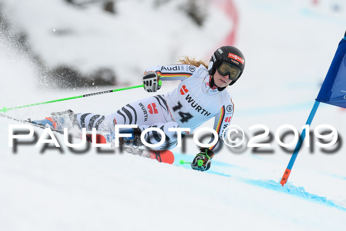 FIS + NJC Riesenslalom Damen + Herren 02.02.2019