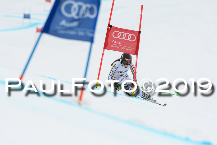 FIS + NJC Riesenslalom Damen + Herren 02.02.2019