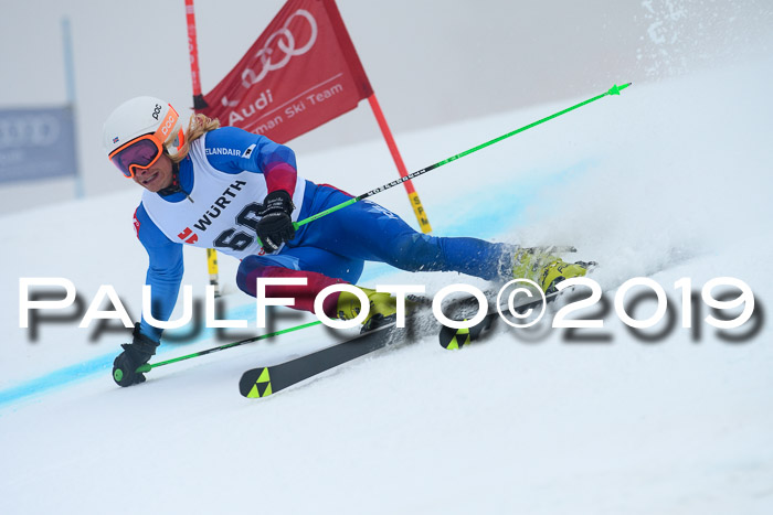 FIS + NJC Riesenslalom Damen + Herren 02.02.2019