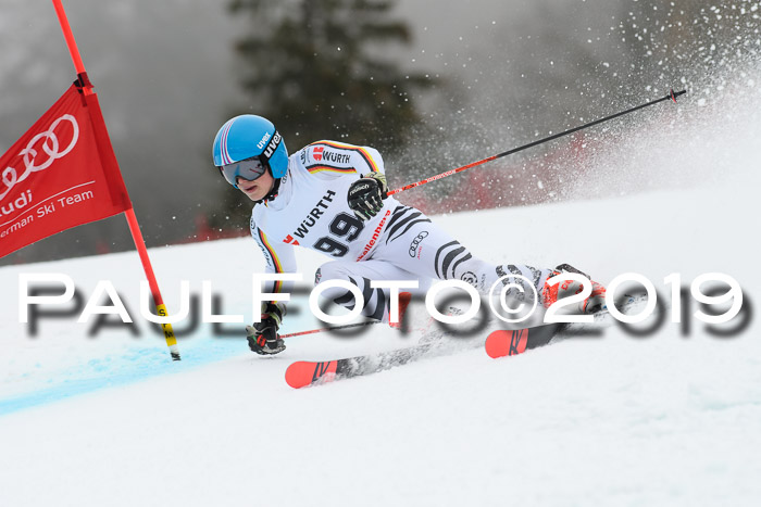 FIS + NJC Riesenslalom Damen + Herren 02.02.2019