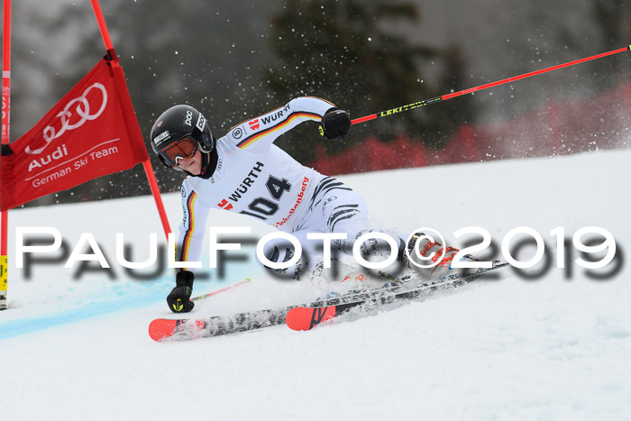 FIS + NJC Riesenslalom Damen + Herren 02.02.2019