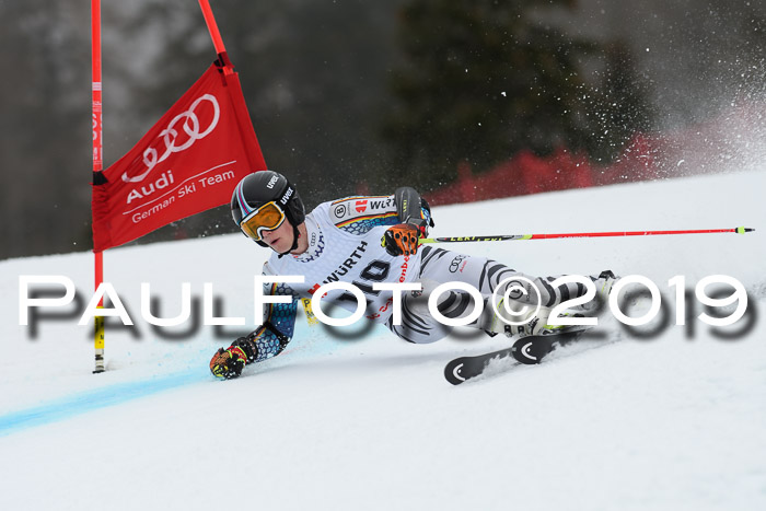 FIS + NJC Riesenslalom Damen + Herren 02.02.2019