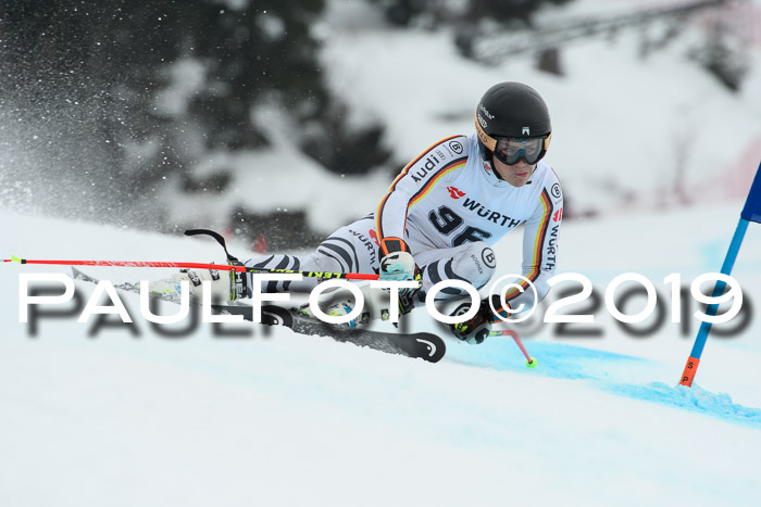 FIS + NJC Riesenslalom Damen + Herren 02.02.2019