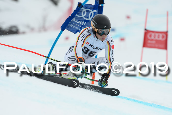 FIS + NJC Riesenslalom Damen + Herren 02.02.2019