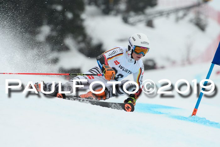 FIS + NJC Riesenslalom Damen + Herren 02.02.2019