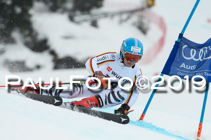 FIS + NJC Riesenslalom Damen + Herren 02.02.2019