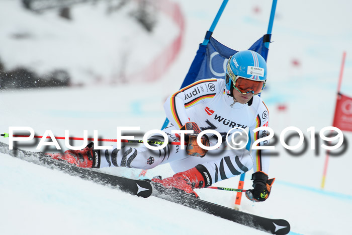 FIS + NJC Riesenslalom Damen + Herren 02.02.2019